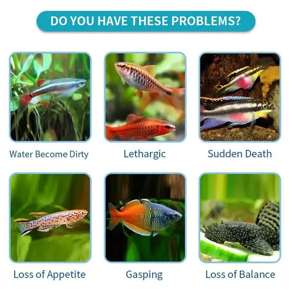 7 in 1 100Pcs Aquarium Test St - Ph Strip Test incelemesi ve fiyatı
